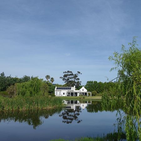 Sanddrif Stellenbosch Guest Farm المظهر الخارجي الصورة
