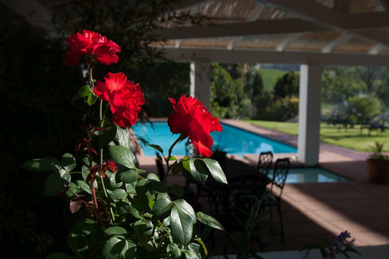 Sanddrif Stellenbosch Guest Farm المظهر الخارجي الصورة
